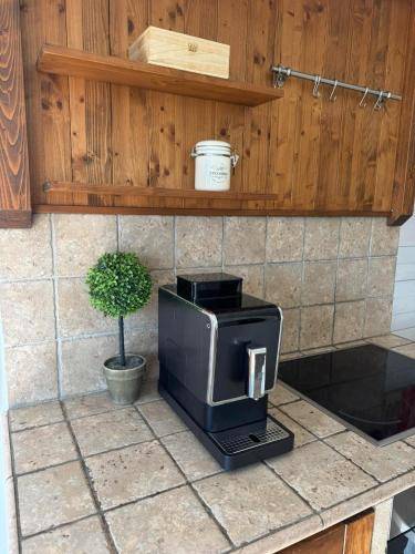 Szolgáltatott apartman  Alsógöd