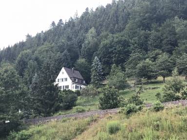 House Yard Bad Liebenzell