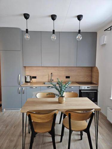Apartmán Pašilaičiai