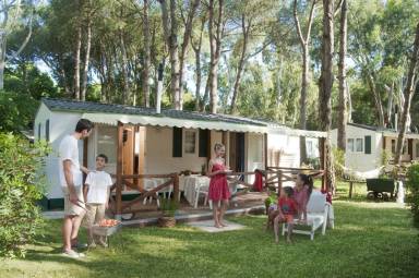 Chalet 24 m²