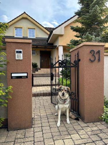 Apartmán Tužina