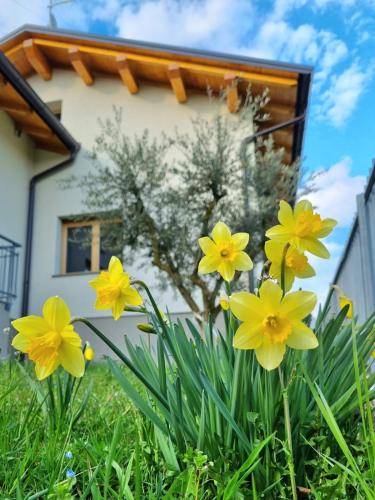 Pousada (B&B) Belluno