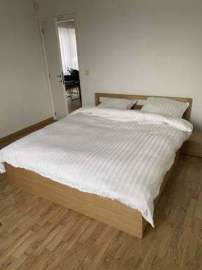 Privatzimmer Löwen