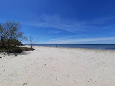 House Wasaga Beach