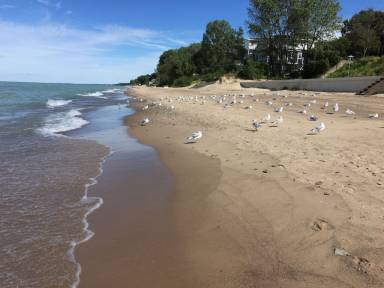 House Michigan City