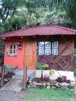 Posada Xilitla