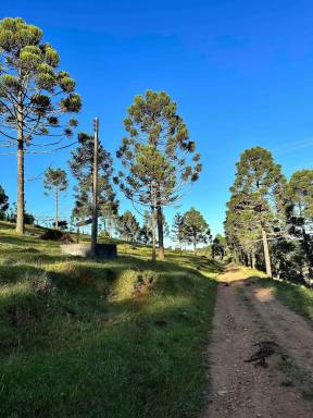 Chalé Costeira
