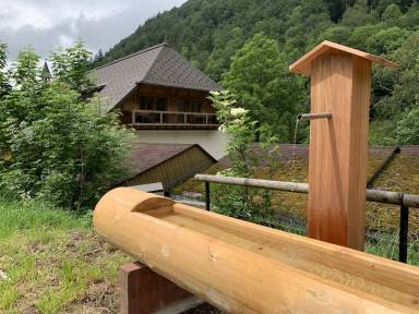 Ferienwohnung  Todtnau