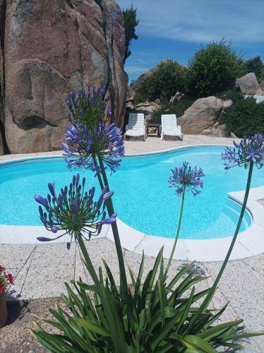 Bed and breakfast Rena Majore