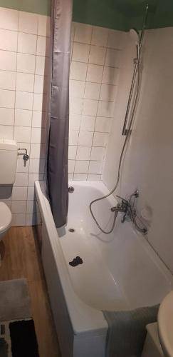 foto2