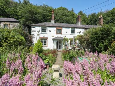 Cottage Pet-friendly Tregarth
