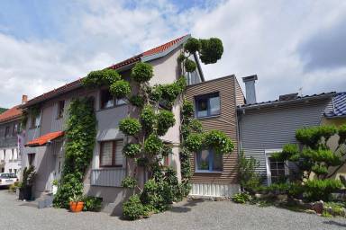 Ferienwohnung Steinbach-Hallenberg
