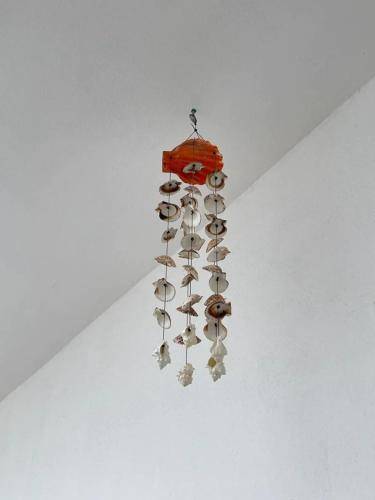 foto19