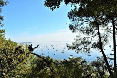 Appartement Maubuisson