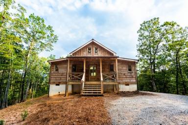 Cabin Blue Ridge