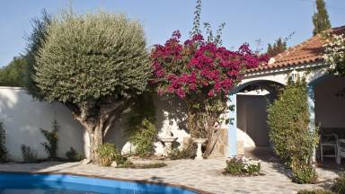 Villa Abanilla