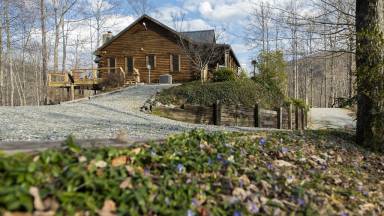 Cabin Saluda