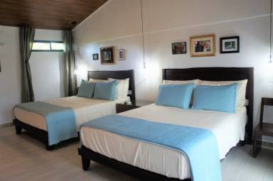 Chambre d'hôtes Nuevo Arenal