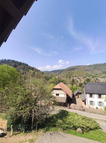 foto18