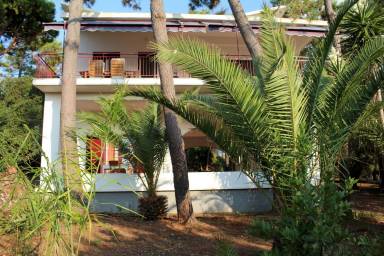 Ferienwohnung Kyparissia