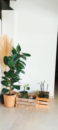 foto19