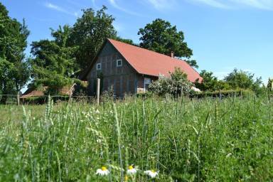 House Badbergen