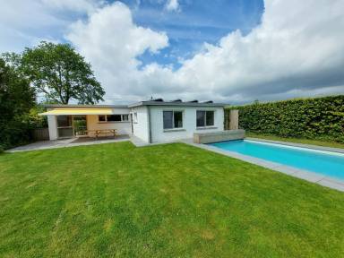 House Pool Torhout