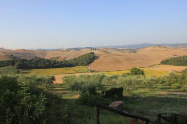 Appartamento  Asciano