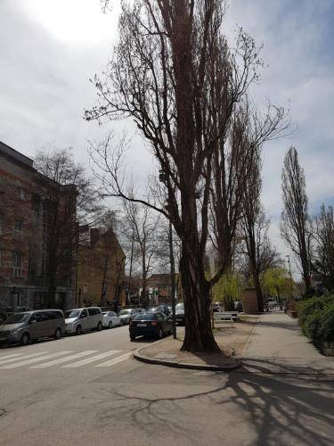 Apartma Trnovo