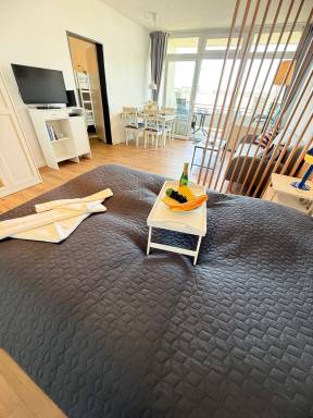 49 m² Apartment