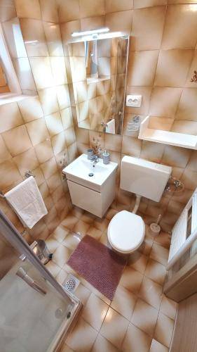 Apartma Drežniške Ravne