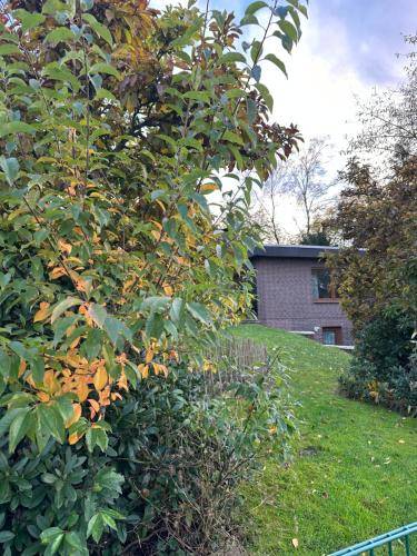 Ferienwohnung Wildeshausen