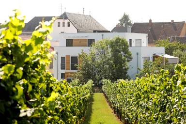 Ferienwohnung  Rhodt unter Rietburg