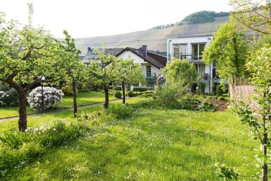 Aparthotel  Brauneberg
