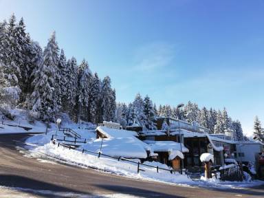 Logement Marilleva