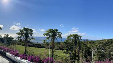 Rodrigues
