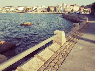 Apartamento O Grove