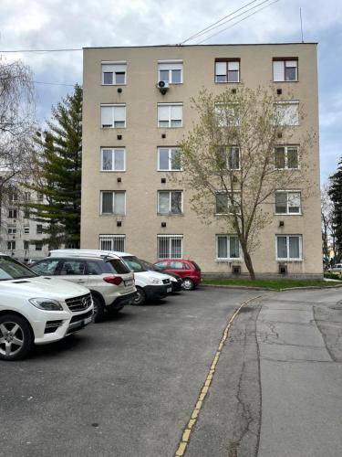 Apartman Alsóhámor