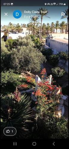 foto18
