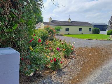 Farmhouse Carrig More