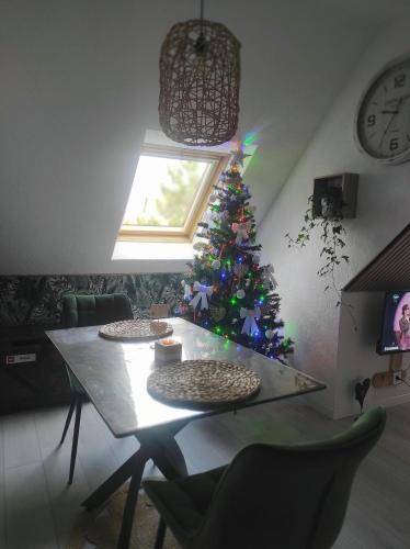foto17