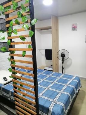 Apartment Palmira