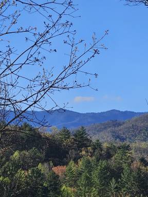 House Sevierville