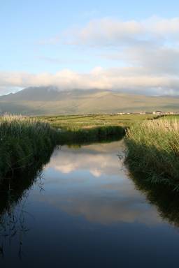 Farmhouse Ballynavenooragh