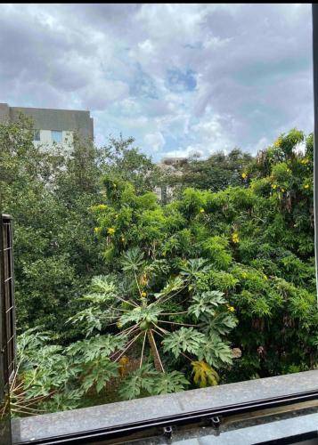 Apartamento Superquadra Sudoeste 101