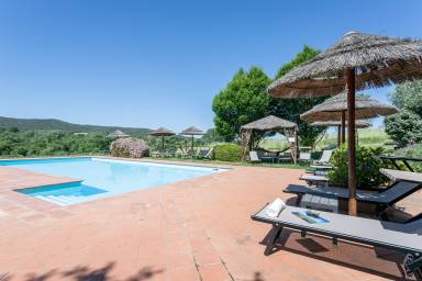 Bauernhof mit Garten, Grill und Terrasse | Gartenblick