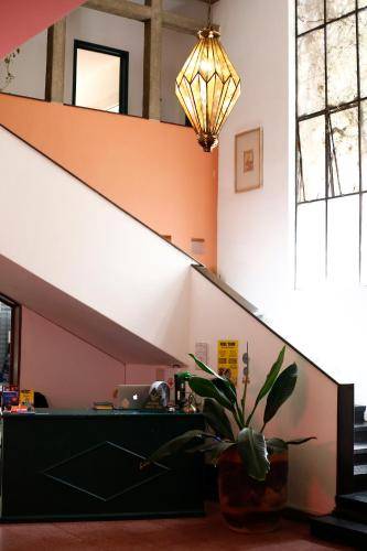 Bed & Breakfast  Zapopan