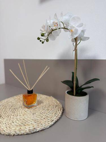 Apartamento Treviso