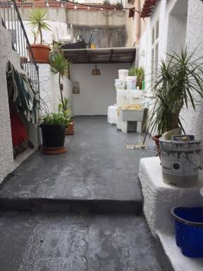Apartment Forio