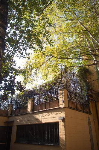 foto10